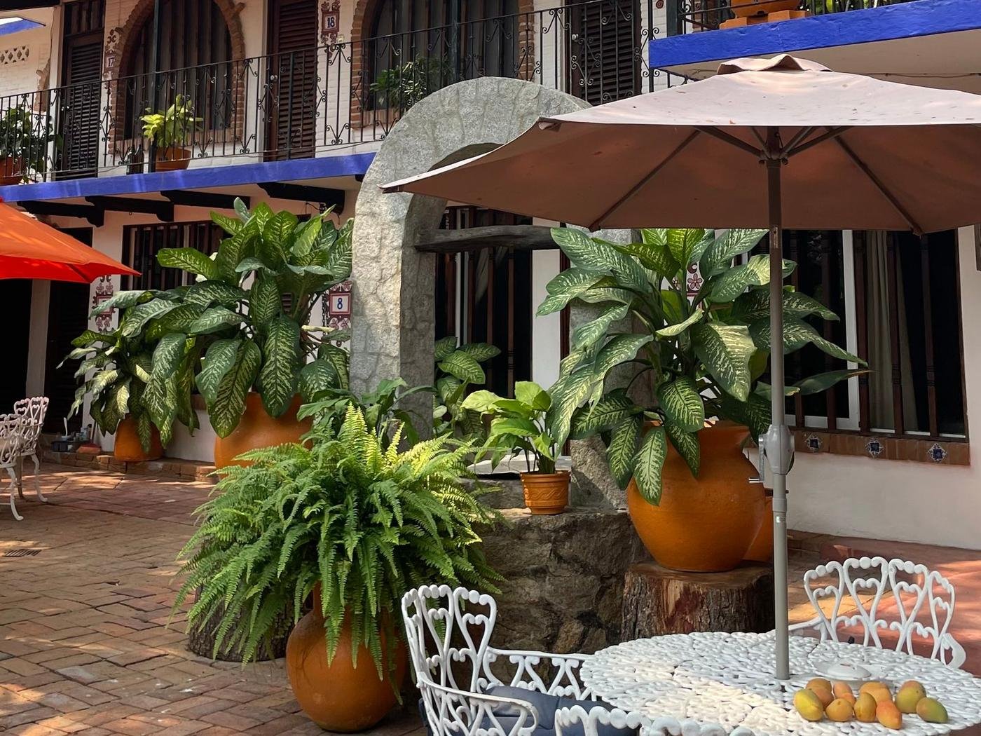 Patio de restaurante con helechos y plantas en macetas de barro para eventos