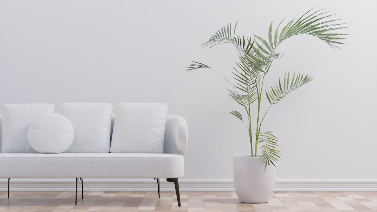 Palma en maceta blanca decorando una sala de casa muestra